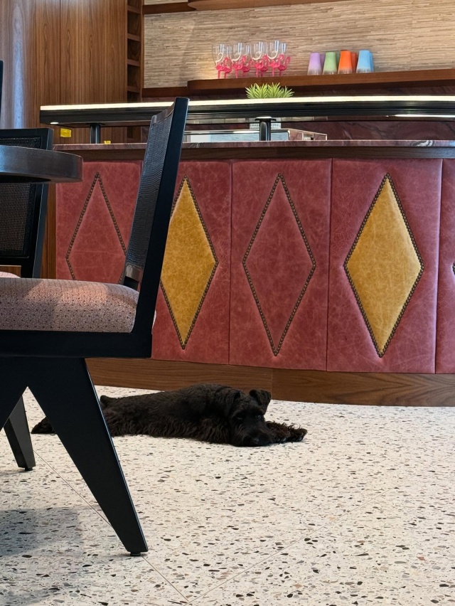 Home sweet home but make it Mad Men #install #installday #madmen #mcm #midcentury #midcenturydesign #midcenturymodern #fortlauderdale